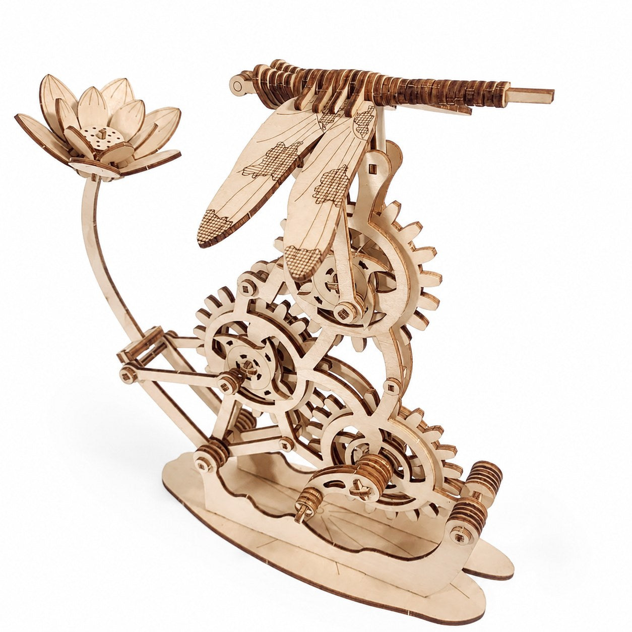 Kinetic Hovering Dragonfly 3D Wooden Puzzle on white background